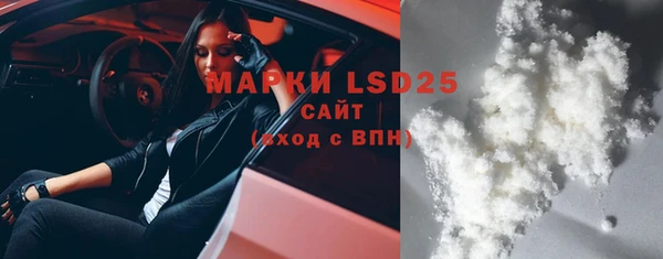 спиды Вяземский