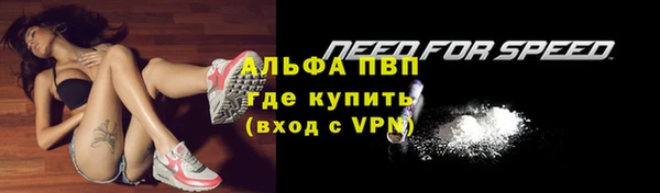 спиды Вяземский