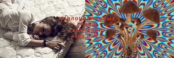 MESCALINE Волоколамск