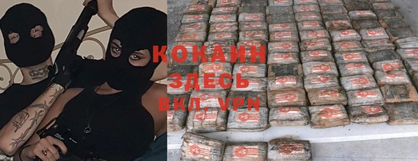 спиды Вяземский